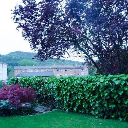B&B Zaldu Estella Exterior photo